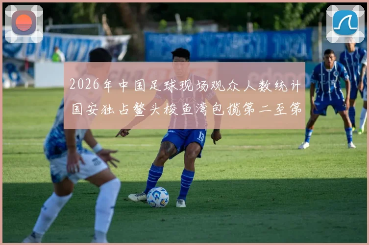 2026年中国足球现场观众人数统计国安独占鳌头梭鱼湾包揽第二至第七位